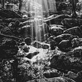 Adirondack Light